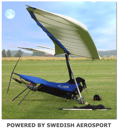 sport 2 hang glider for sale